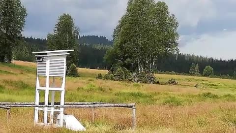 TRAGÉDIE NA GOLFOVÉM HŘIŠTI AKTUALITY Z MAINSTREAMU 11.-13.6.2025