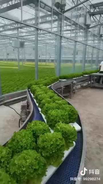 Digital farming in China #technology #shorts