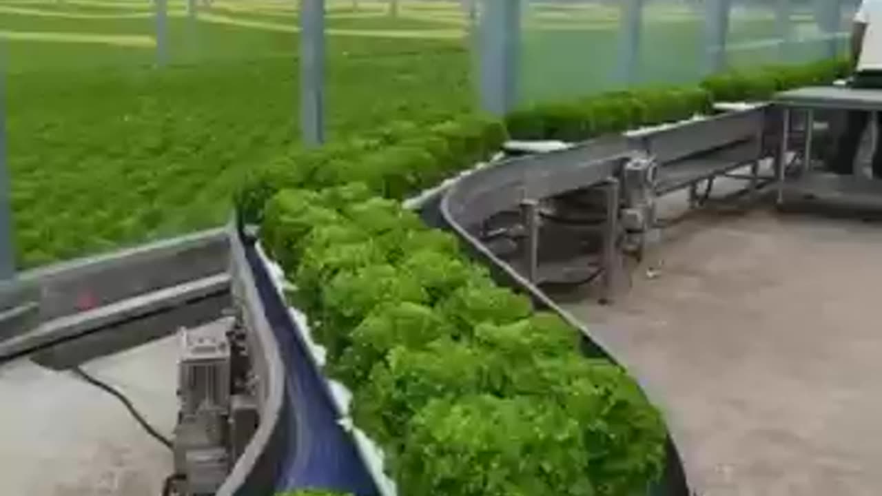 Digital farming in China #technology #shorts