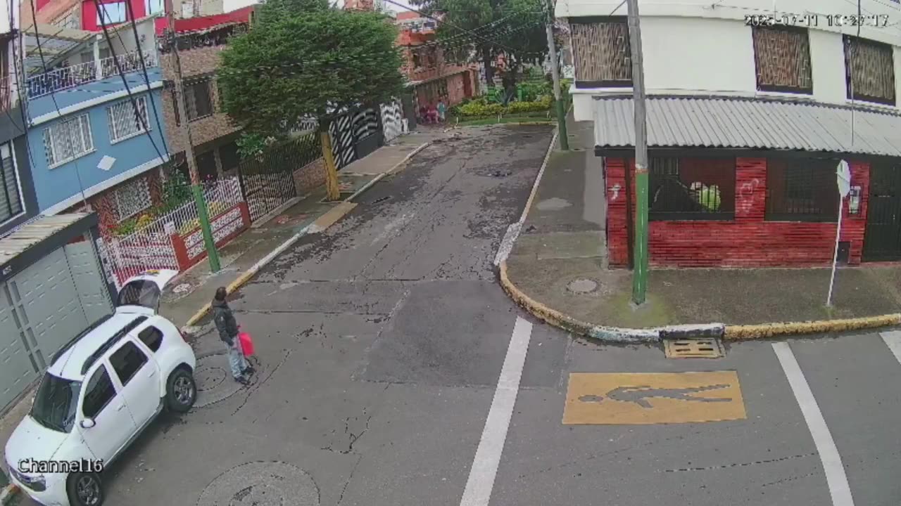 Video: perro pitbull escapó de su casa y atacó a niña de 11 años y a su papá