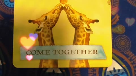 Oracle Card Reading 3/20/25