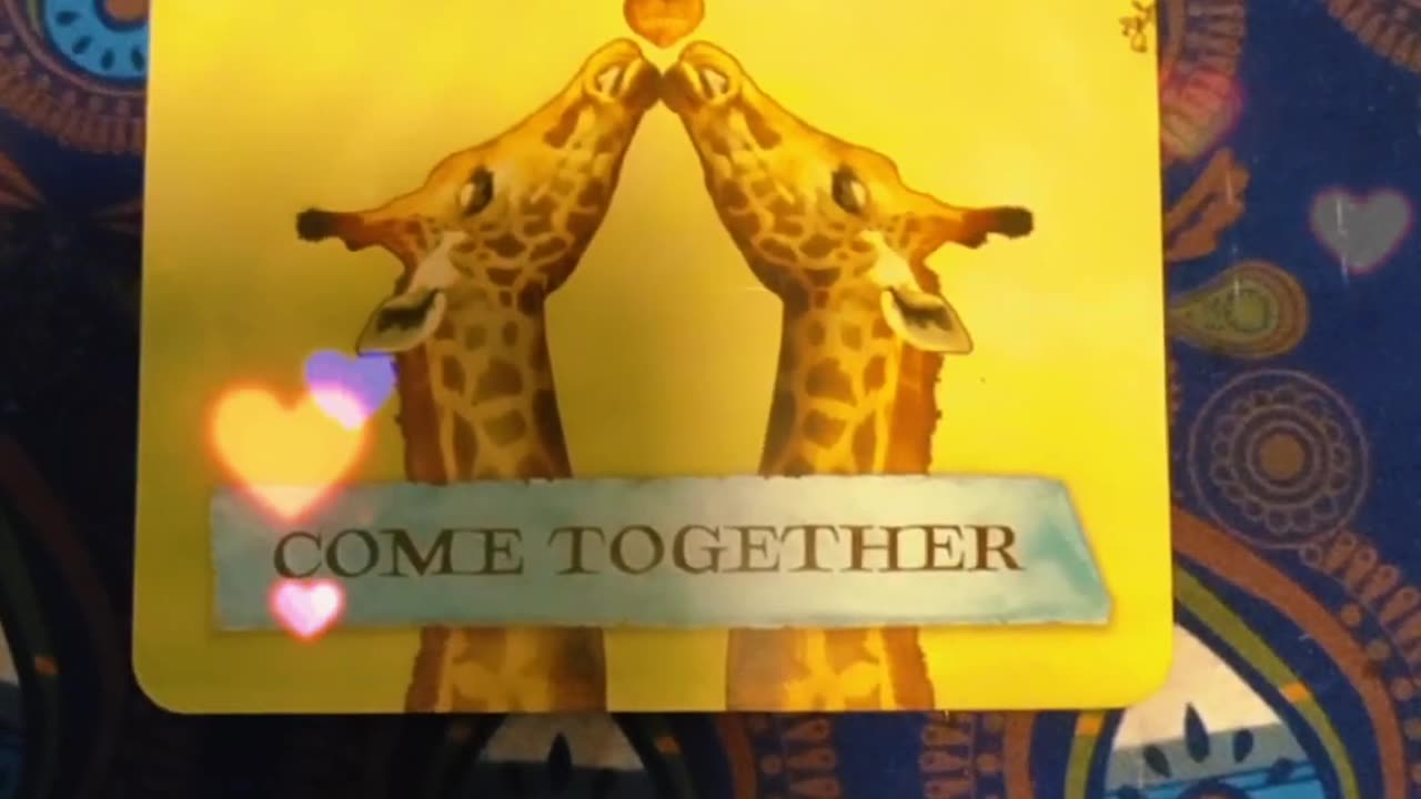 Oracle Card Reading 3/20/25