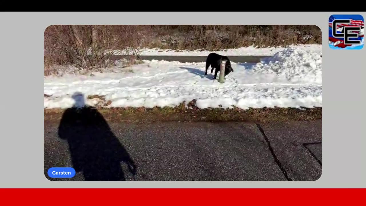 globale Entwicklungen vom 11.01.2026