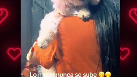 Que lindura de cachorro
