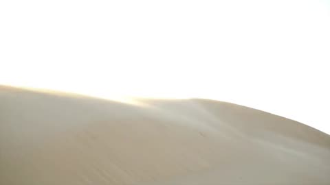 Desert Wind Sounds for Deep Relaxation | Ambient Nature Noise for Sleep, Focus & Meditation