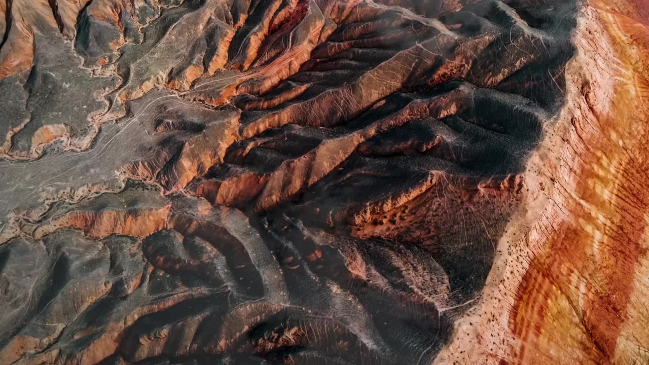 Animals cast right 3:52