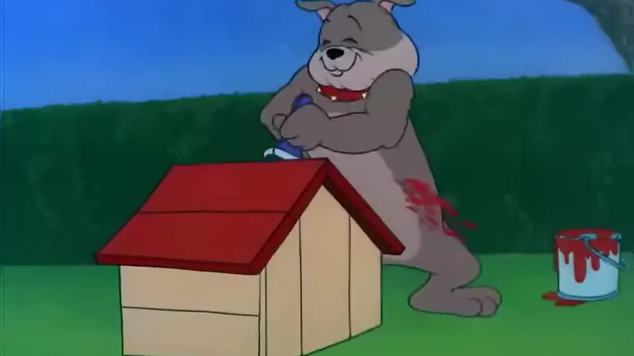 Tom & Jerry.