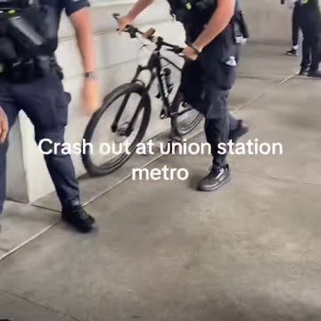 Diversity does shopping