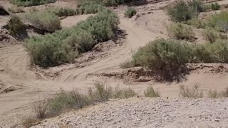 🔴POWERSPORTS, FESTS, SIMS/GAMING, COMEDY, TRAVELNSHEZ