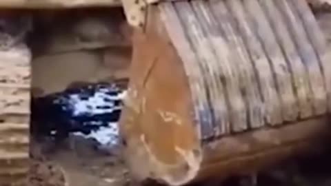 The Ultimate Fails Compilation #funny video