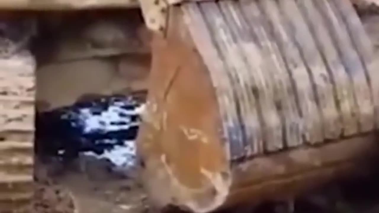 The Ultimate Fails Compilation #funny video