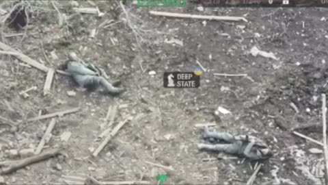 What an Incredible Position to Find Yourself(You Go First)