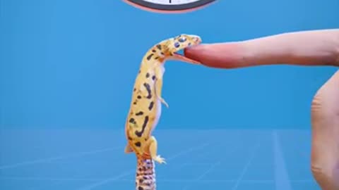 How A Lizard's Bite Locks On