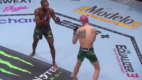 Sean O'Malley vs Aljamain Sterling | Full Fight NO COMMENTARY | UFC Highlights