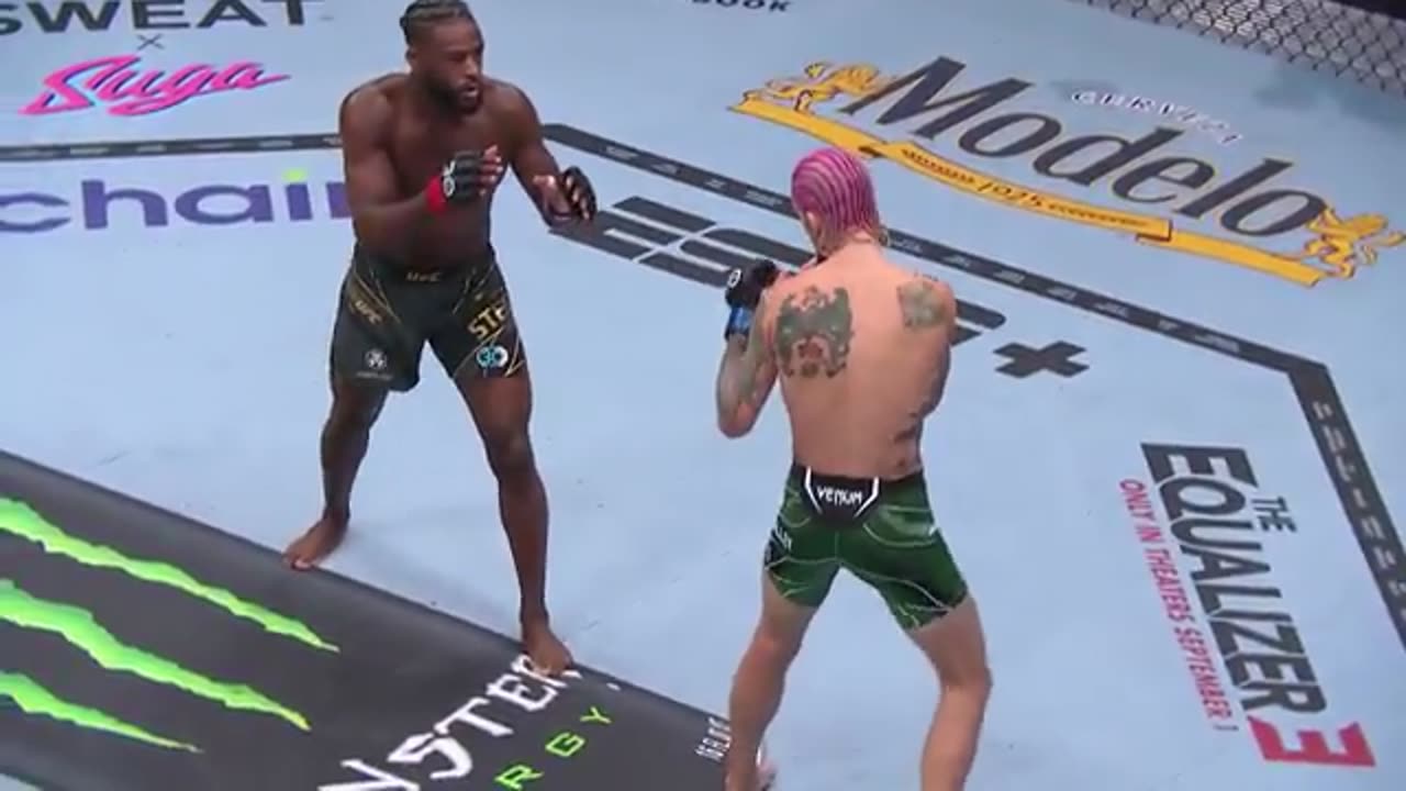 Sean O'Malley vs Aljamain Sterling | Full Fight NO COMMENTARY | UFC Highlights