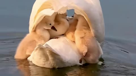 ❄️🏠 You'll Be Surprised How Warm This Simple Hack Keeps Your House! | LifeHacksDaily