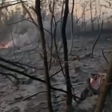 Airstrikes Vaporize Russian Positions Near Kupyansk