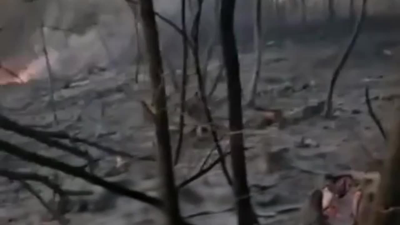 Airstrikes Vaporize Russian Positions Near Kupyansk