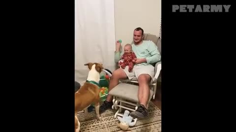 Watch Animals and Babies Share Pure Love