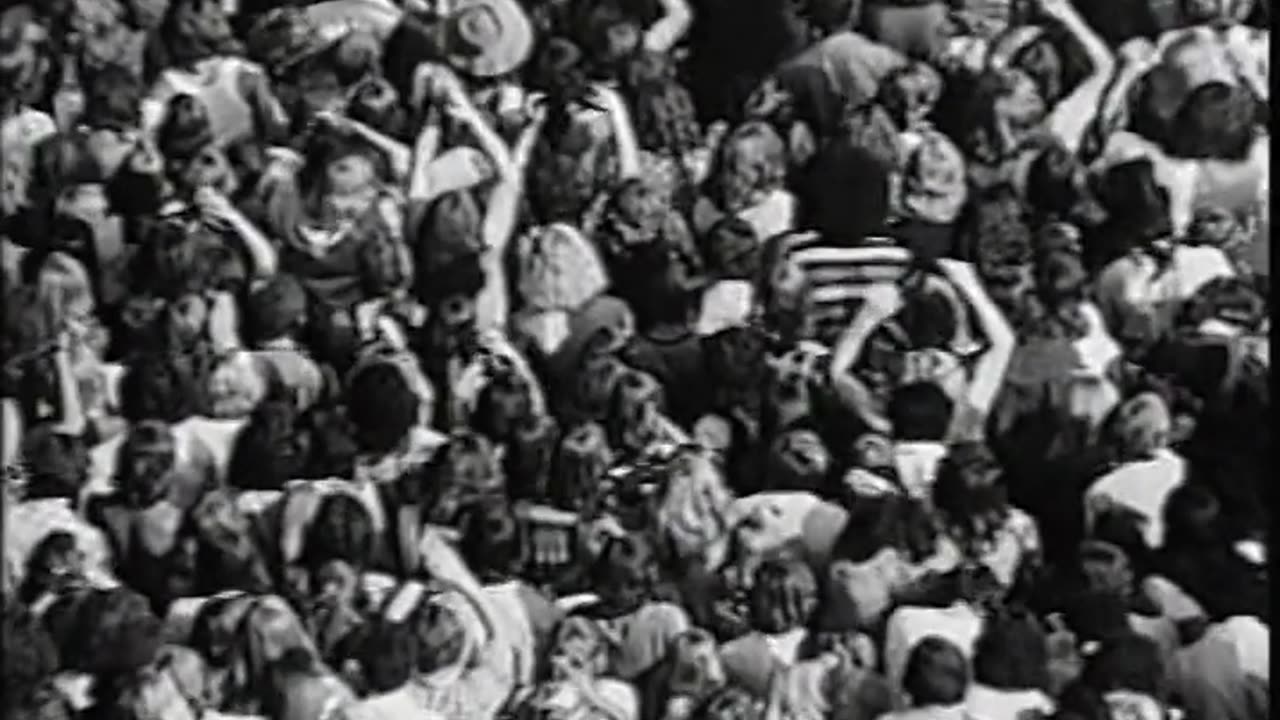 Led Zeppelin LIVE Random Video 3