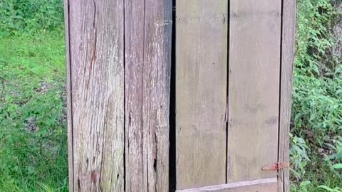 😱🤣 Outhouse Surprise: It Didn't Go as Planned! | FunFM