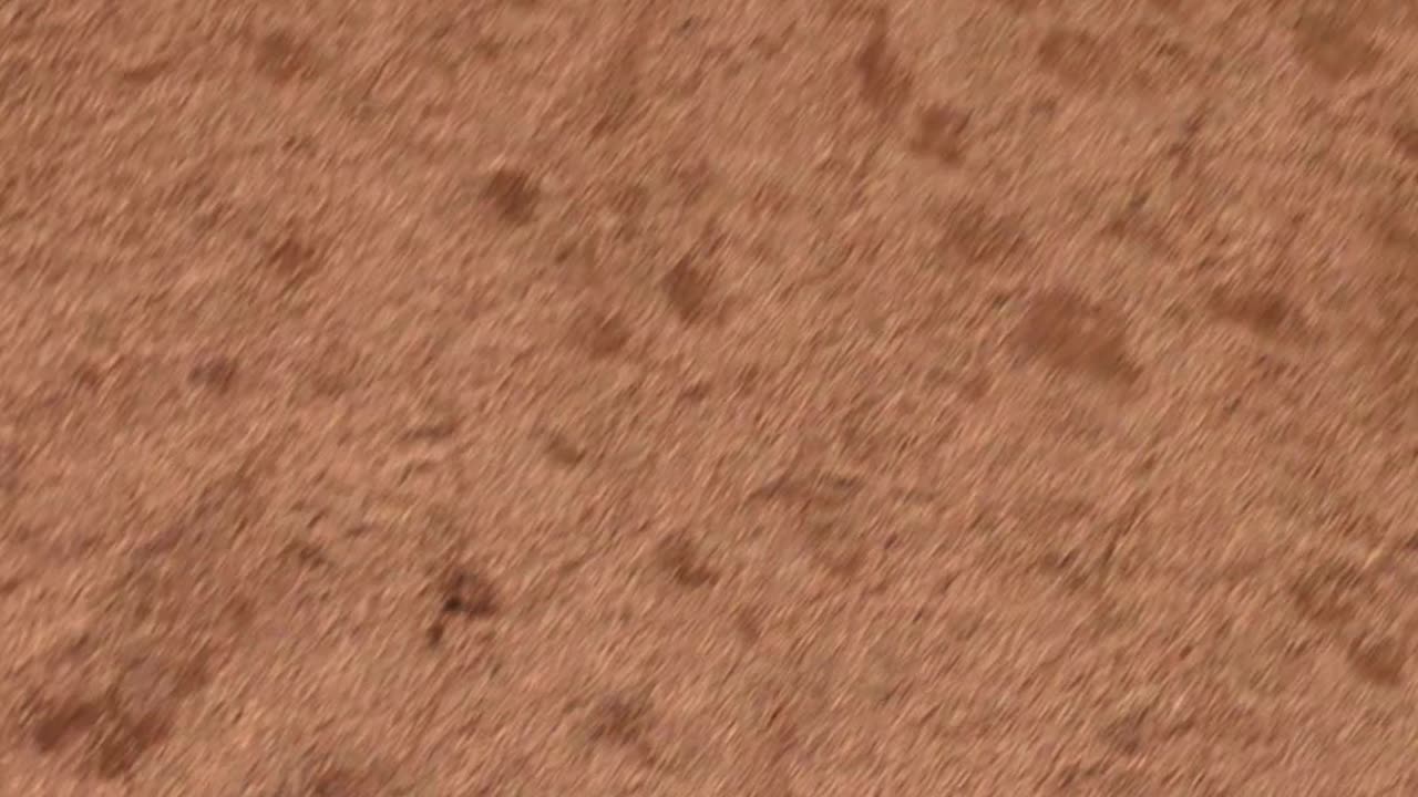 Running the Bases
