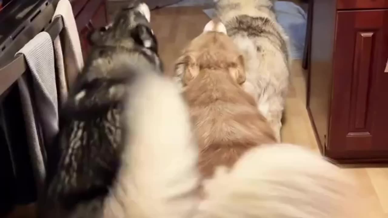 We starving over here 🤣