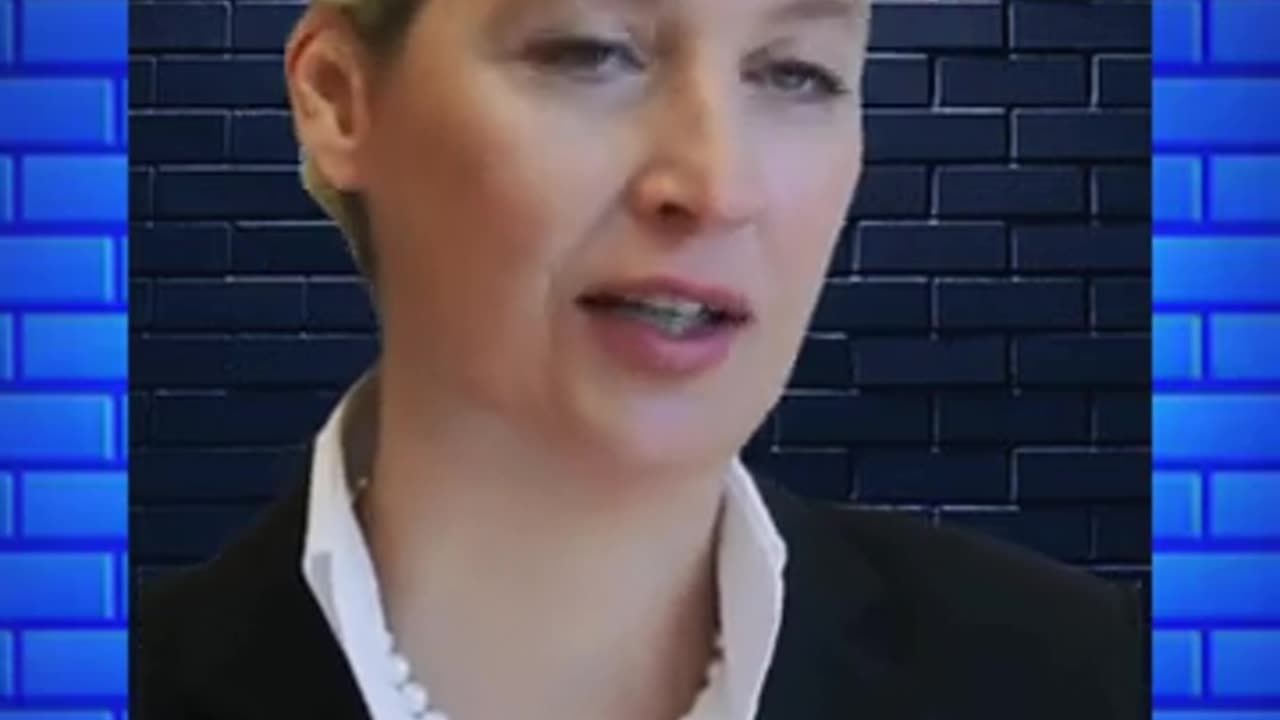 Alice Weidel "Ich fühle mich nicht als Politikerin, sondern als Anwältin der Wähler"!
