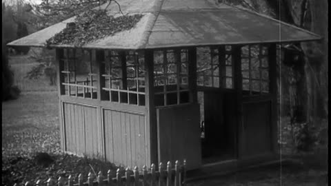 [STOCK NEWSREEL EXCERPTS] - [STOCK NEWSREEL EXCERPTS] - cbs-cbswwi-271