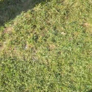 He’s new and he’s sorry for videoing kids ☠️☠️🏴󠁧󠁢󠁥󠁮󠁧󠁿🏴󠁧󠁢󠁥󠁮󠁧󠁿