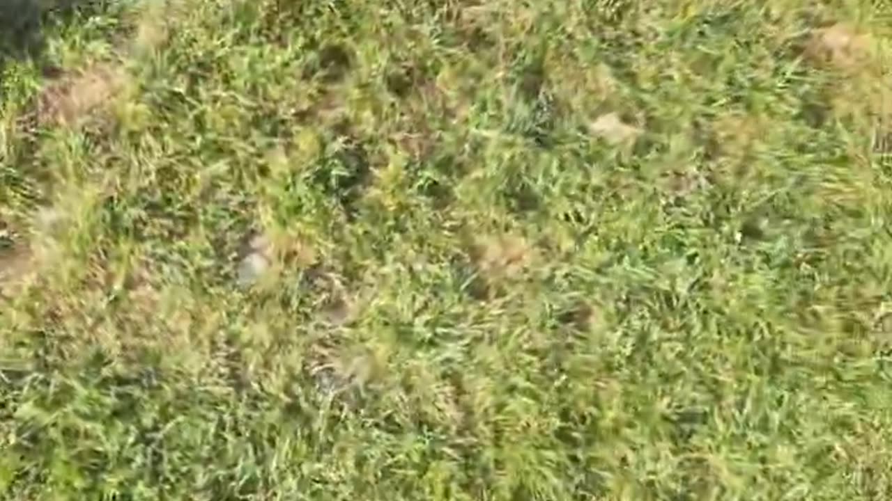 He’s new and he’s sorry for videoing kids ☠️☠️🏴󠁧󠁢󠁥󠁮󠁧󠁿🏴󠁧󠁢󠁥󠁮󠁧󠁿