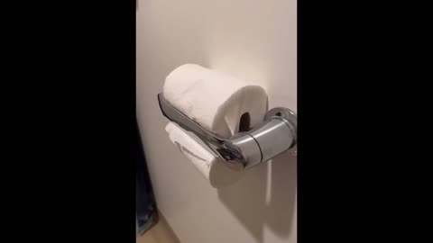 Are you tired ? Just see this compilation and enjoy some Laugh