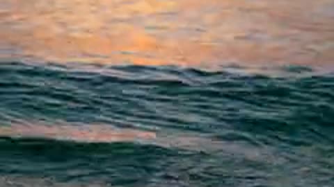 Title: Anna Tarazevich