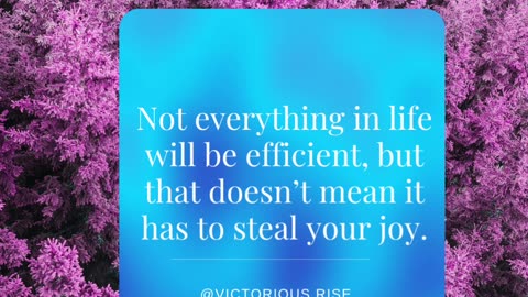 Joy Greater than Efficiency