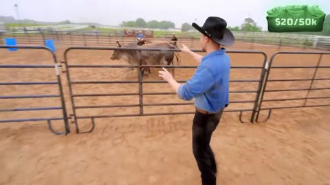 Bull Vs Human 😖Who is Win ? #challenge #viralvideo