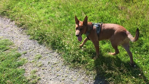Waynes park romp 32098390842