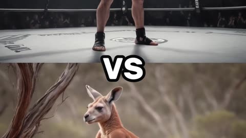 Man vs Beast: Singular Combat Showdown! 🥊🐅