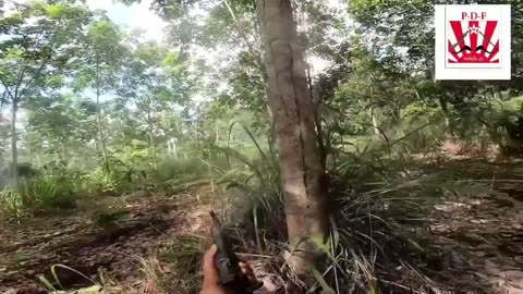 🛡️🔥 Myanmar War | KNLA & PDF Rebels Attacking Junta Troops in Karen & Mon States | RCF