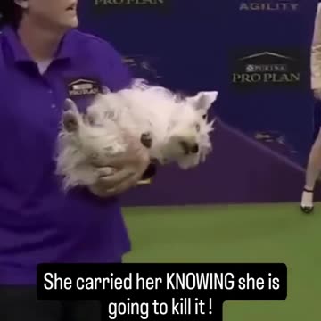 I did not expect that..