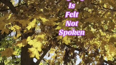The Hearts Language 💕: Quote