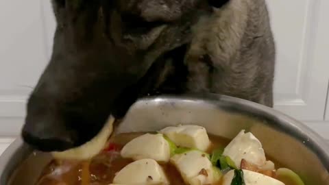 "Well, nothing we can do now. Food first!"