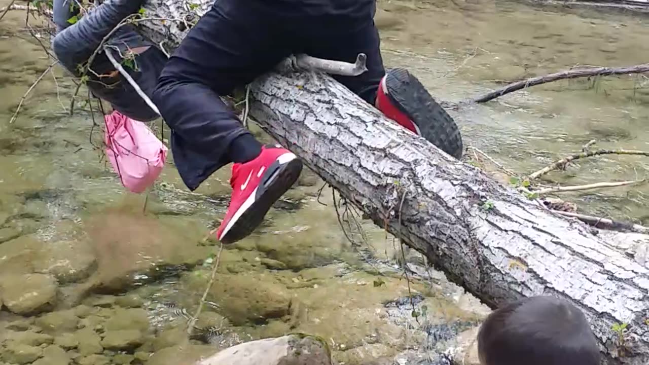 Dad to the Slightly Damp Rescue