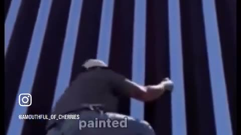🎨🖌️ Watch This Painter's Hilarious Miscalculation! | FunFM