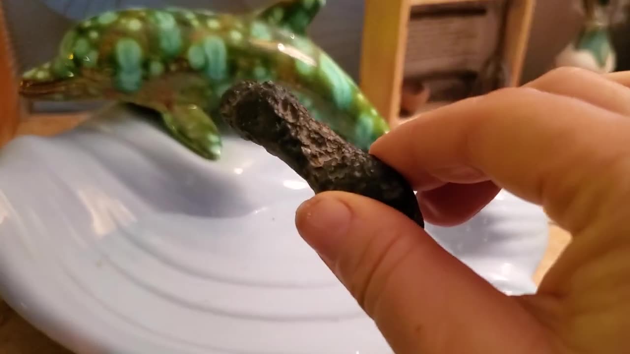 3IAtlas, a fun interpretation from an aliens perspective