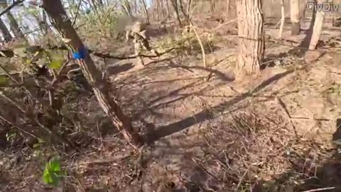 Skippy’s Most INTENSE Combat Footage