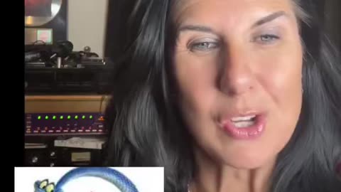 TikTok Censored This Warning That Zootopia 2 Pushes LGTQ Indoctrination Onto Children