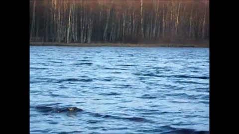 Tapsanpäivän myrskytuhoja Pähkinärinteessä