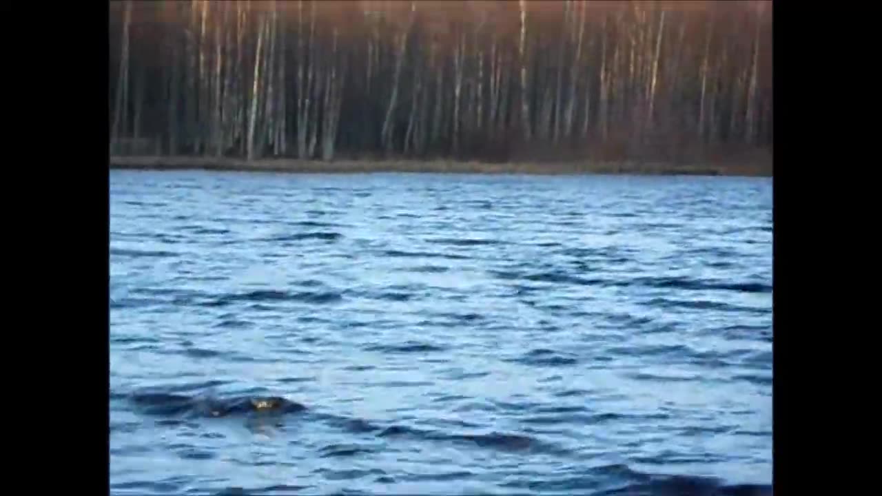Tapsanpäivän myrskytuhoja Pähkinärinteessä