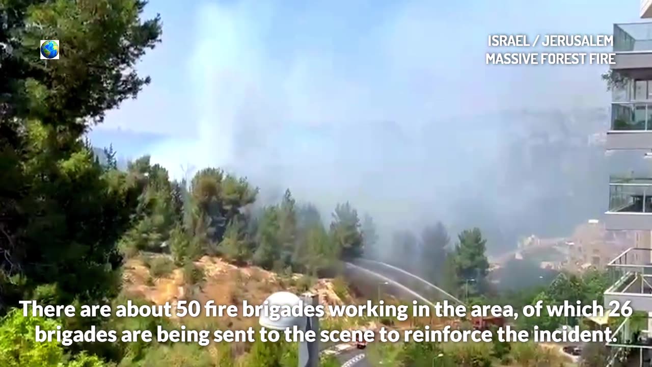 Incendie massif en Israël : les flammes font rage autour de Jérusalem