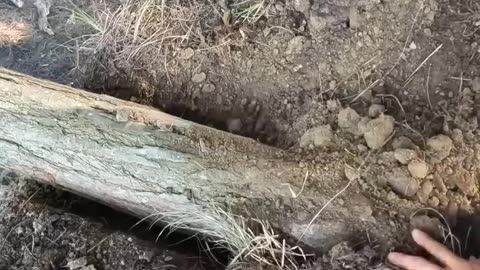 A man builds an underground hideout in the forest himself